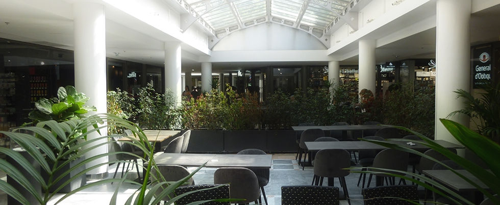 SGL01.JPG