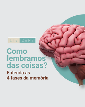 Como lembramos das coisas? Entenda as 4 fases da memória