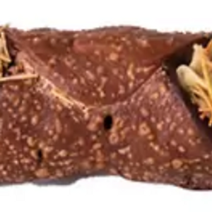 I love Cannoli Dubai Pistache