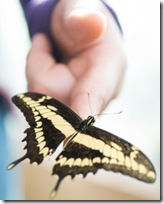 Strengthening Employees