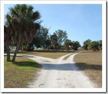 Difficulty of Making Decisions