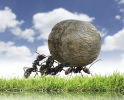 Focus On Small Things To Succeed