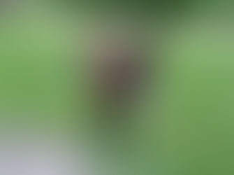 Overcoming Adversity