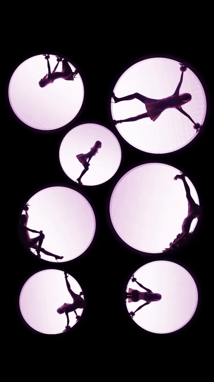GIF4.gif