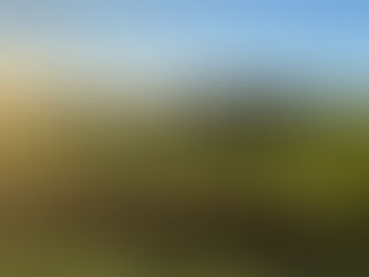 Atualização de rebanhos entra na última semana com 70,3% das propriedades cadastradas