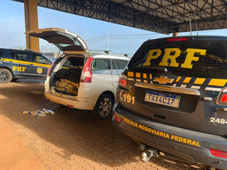 PRF apreende 385 kg de maconha na BR-277 em Cascavel