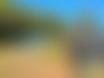 Carga de musgo é apreendida pela Polícia Ambiental em Guarapuava