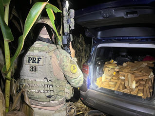 Após tentativa de fuga, PRF apreende 600 quilos de maconha em Cascavel