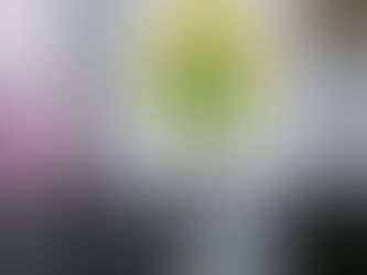 PALMEIRINHA — Jovens são detidos por tráfico de drogas e corrupção de menor durante buscas por autores de incêndio