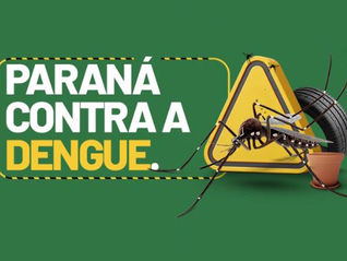 Paraná tem redução de casos e mortes por dengue maior do que a média nacional em 2025