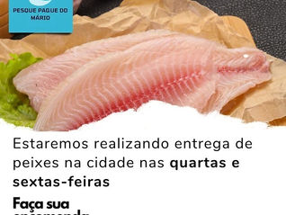 O Pesque Pague do Mário comunica que estará realizando entrega de peixes na cidade de Palmital nas quartas e sextas-feiras