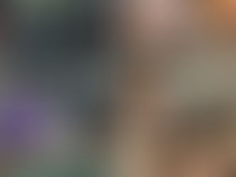 Forças de segurança do Paraná apreenderam mais de um terço das drogas do Brasil em 2024