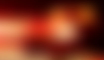 Operação resgata dois cavalos em situação de maus-tratos em Porto Barreiro