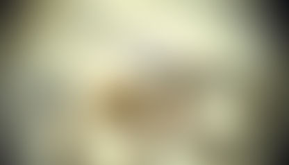 Palmital: Polícia cumpre mandado de prisão durante patrulhamento