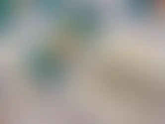 Mega-Sena sem ganhadores e próximo sorteio estimado em R$ 40 milhões