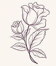 flowers (3).png