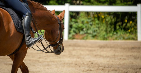 Why stretching down into contact is good