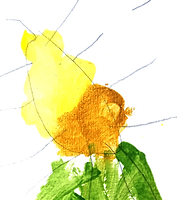 flower_edited.png