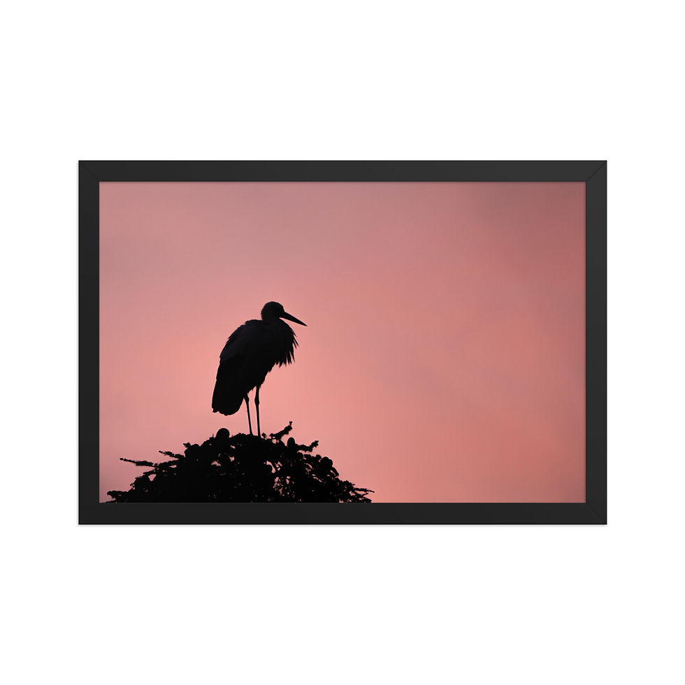 Miniature : Silhouette d’Éternité