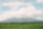 DSC1055.jpg