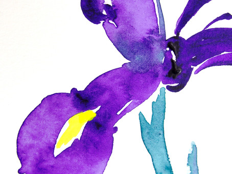 紫色のiris