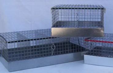 Screenshot 2025-04-22 130219.png