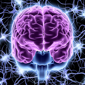 reprogrammer son cerveau pour mincir
