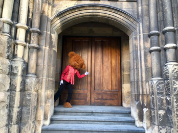 teddy bear hunt.jpeg