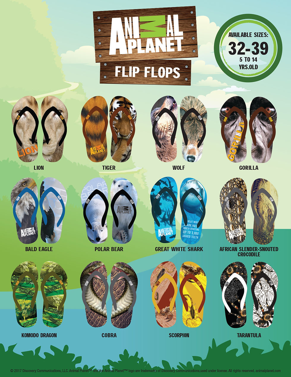 AP showcase brochure-2