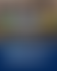 MCO is nominated for 5 DSAs.