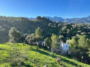 Blog 32 - Het aankoopproces van onze woning in Spanje is begonnen