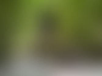 Blog 60 - Toerist in eigen land: Limburg