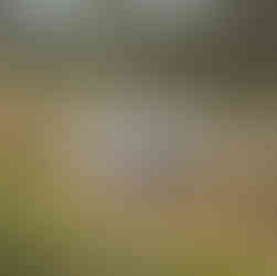 Onze caravan ‘by day’.