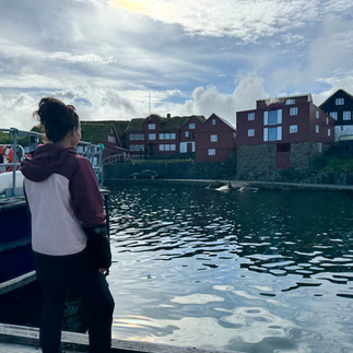 Het hoofdstadje van de Faeröer eilanden: Tórshavn