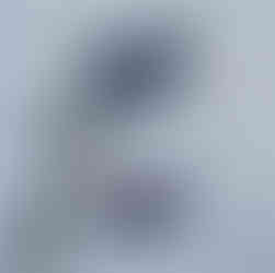 De Faeröerse vlag werd naar beneden gehaald en de IJslandse vlag werd gehesen in de haven