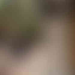 Mark helemaal blij: in deze winkel kunnen wij zijn camera halen!