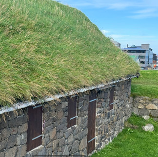 Deze groene daken van mos en gras wapperde heel leuk in de wind