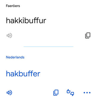 De vertaling van een nieuwe taal naar Nederlands levert grappige woorden op