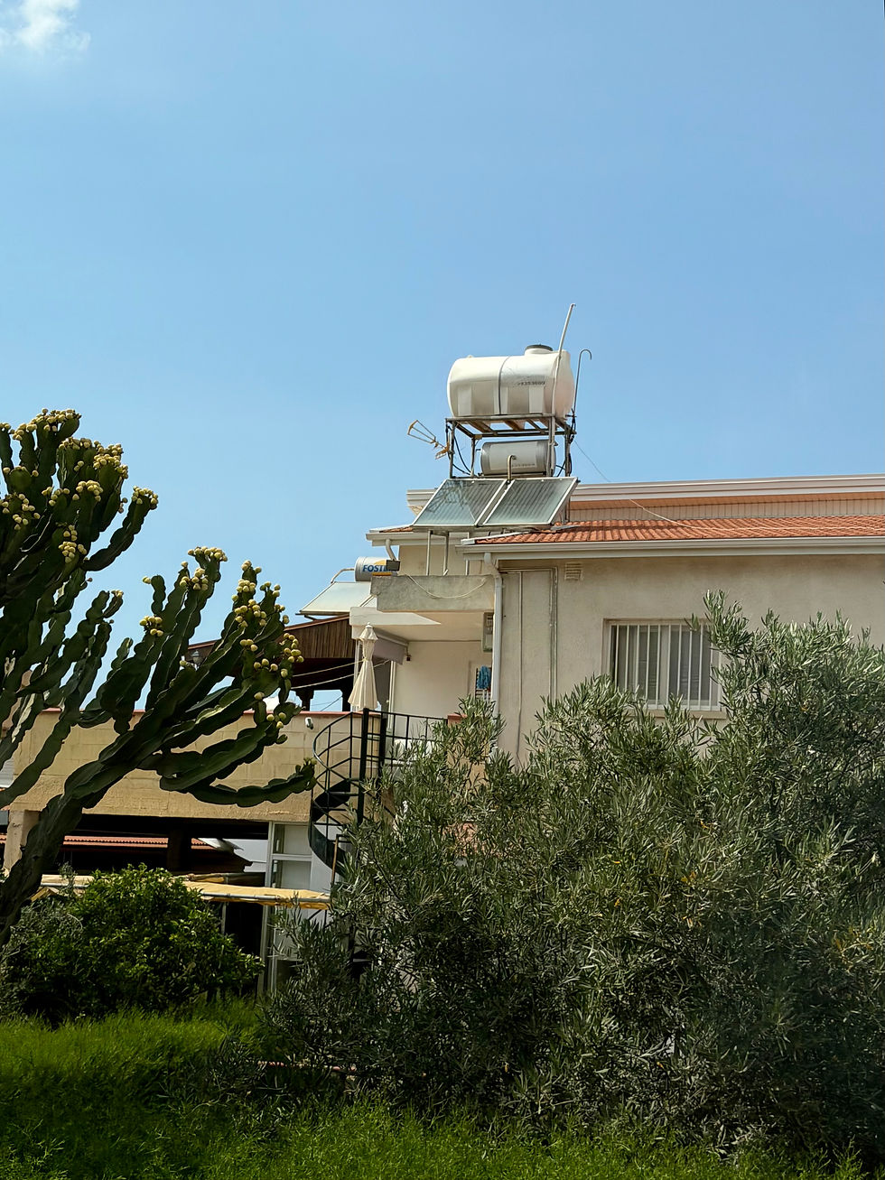 House roof with solar water heater tank and panels, framed by lush trees under a clear blue sky; faint FOST text visible
