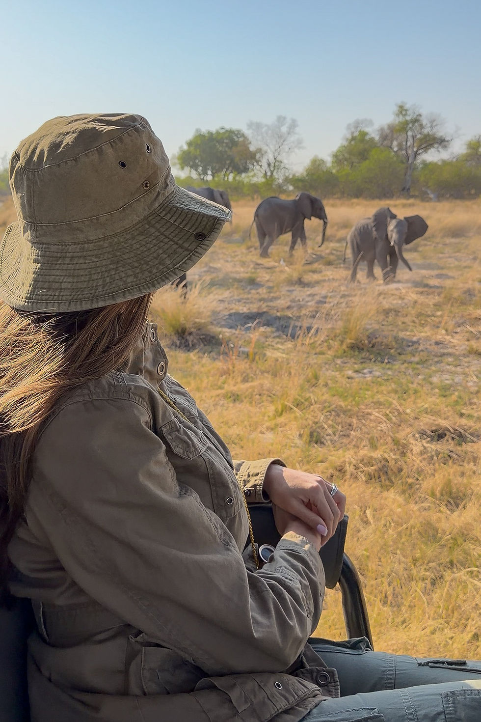 Woman in a safari hat watches elephants walking in a grassy savanna under a clear blue sky. Peaceful, natural setting.