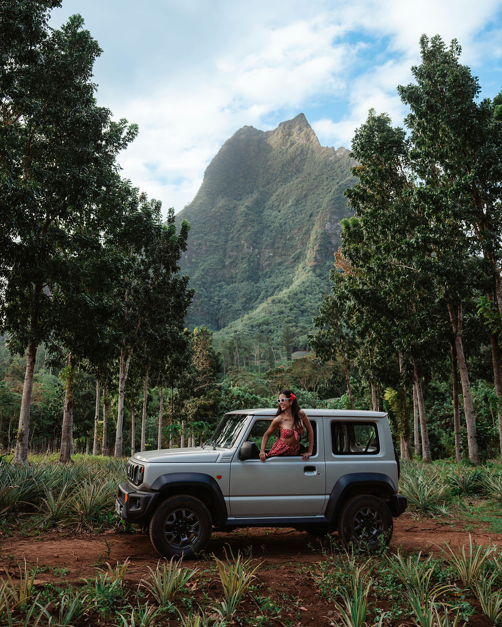 Route des Ananas with AVIS Tahiti