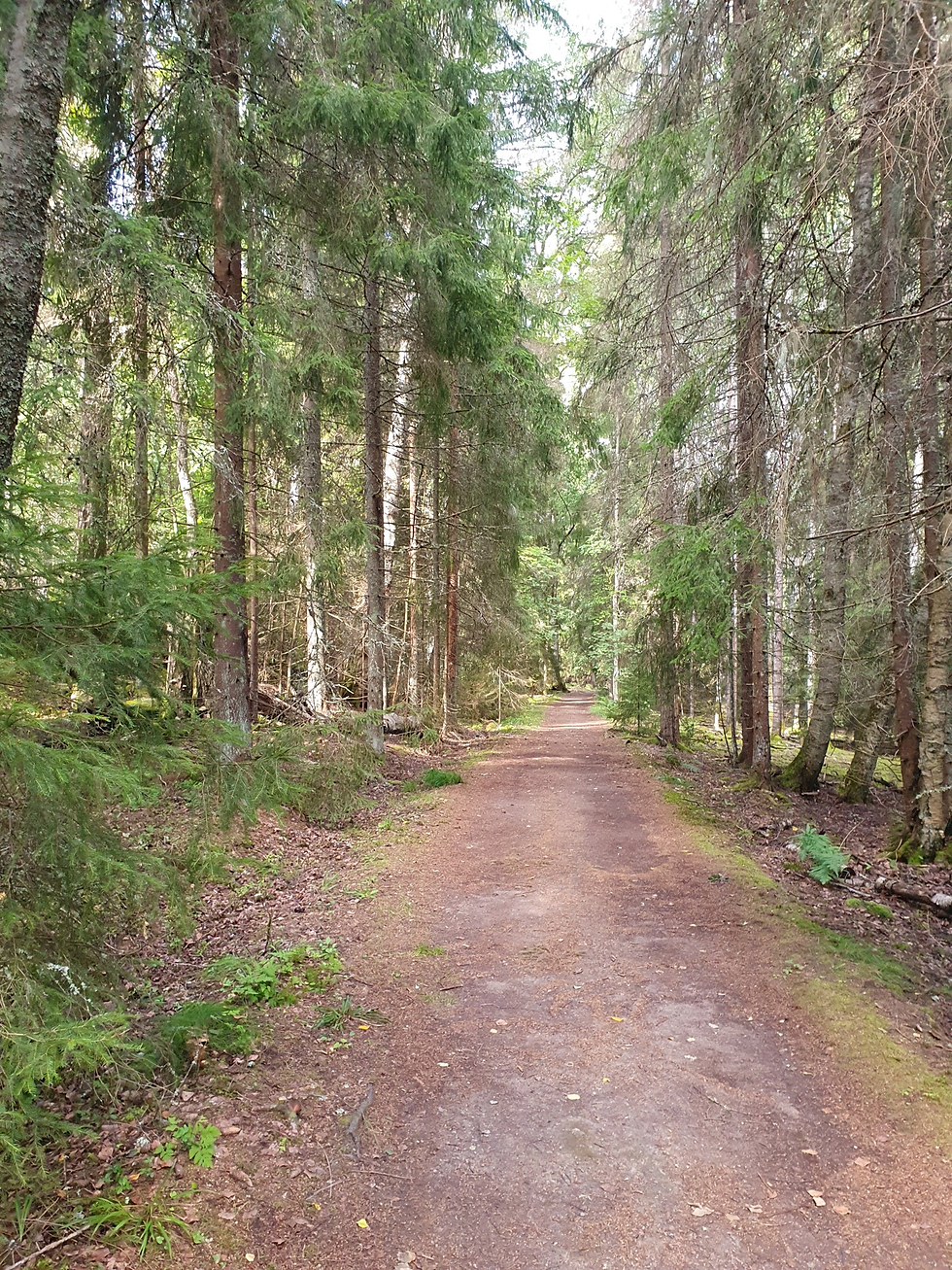 Luonnonsuojelualue