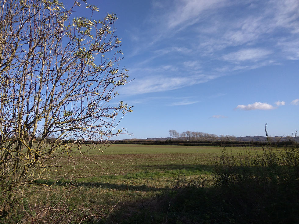 Lower Flat, Park Barn Farm