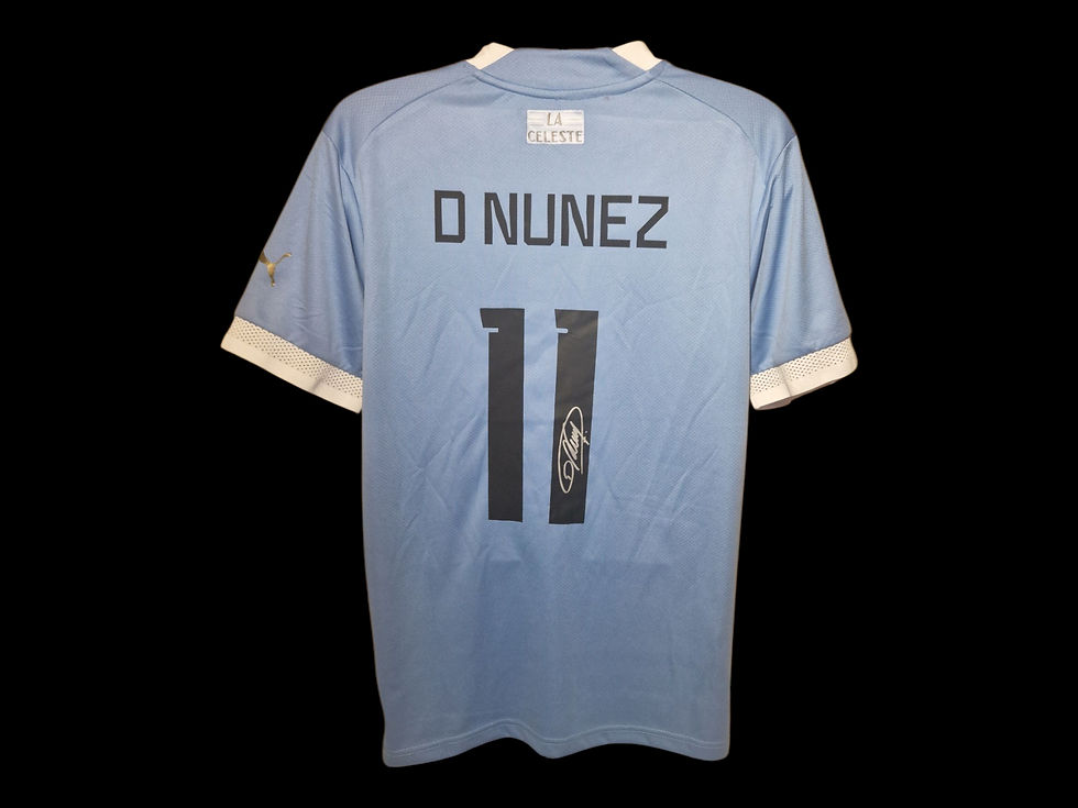 Darwin Nunez Official Uruguay 22/23 Signed Football Shirt COA***
