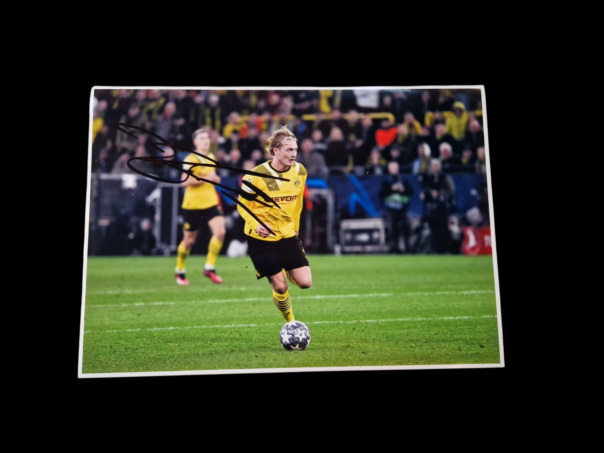 Julian Brandt Borussia Dortmund Signed 12 x 8 Picture COA*