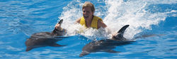 dolphinaris-cancun-programa-delfines-dolphin-swim-ride