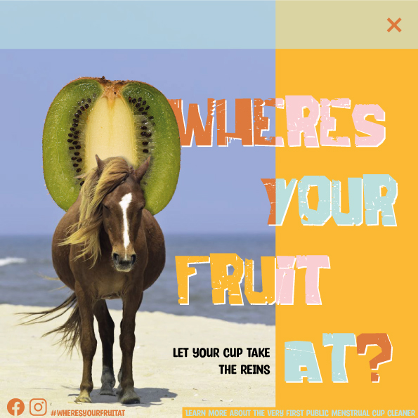 pop up advert of a kiwi riding a horse across the sand at a beach 