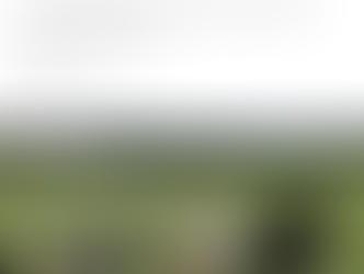 Eg har visst stukke håndå mi inn i vepsabolet igjen, og dåkkår insistere på å drepa budbringeren.