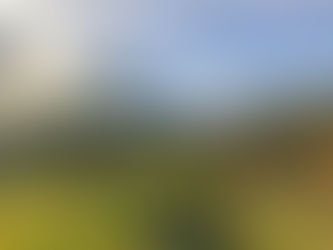 7 Years Off-Grid in Portugal: Part 2 - The Mountain (Months 7-12)