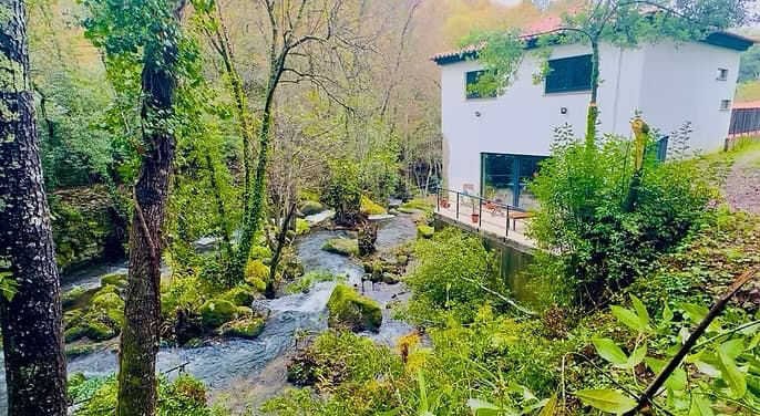 Wylde roots riverside sanctuary